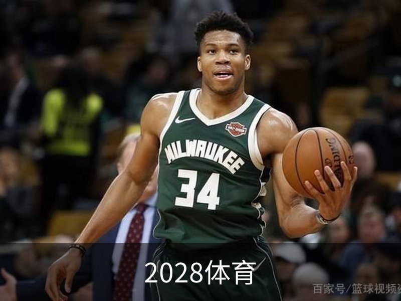 2028体育概况